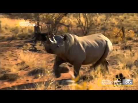 3 مصورين يفروا هربًا من وحيد القرن الأسود