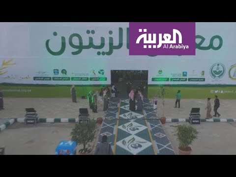 الجوف تحتضن مهرجانها السنوي للزيتون