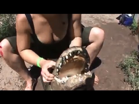 فتاة تداعب تمساحًا بقبلة من فمه