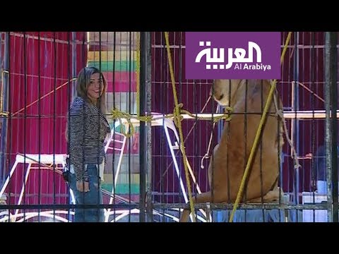 شاهد مصرية تخيف الوحوش