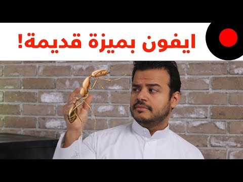 شاهد مِنح دراسية لألعاب الفيديو