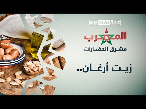 شاهدندرة شجرة أرغان تجعل ثمارها وزيتها من بين الأغنى في العالم