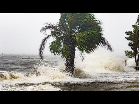 إعصار  مايكل  القوي يضرب شواطىء فلوريدا