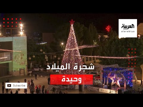 شاهد الوباء يحرم العالم من إضاءة شجرة الميلاد وتتركها وحيدة