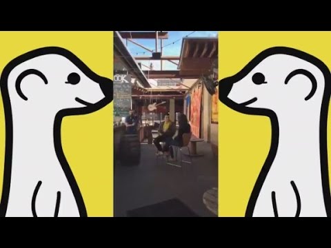 شاهد بالفيديو تطبيق meerkat للبث المباشر