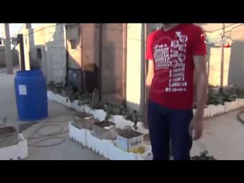 أهالي ريف دمشق يزرعون أسطح الأبنية