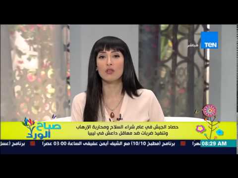 بالفيديو حصاد الجيش فى عام من حكم الرئيس السيسي