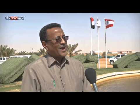 تدشين استثمارات زراعية لبنانية في السودان