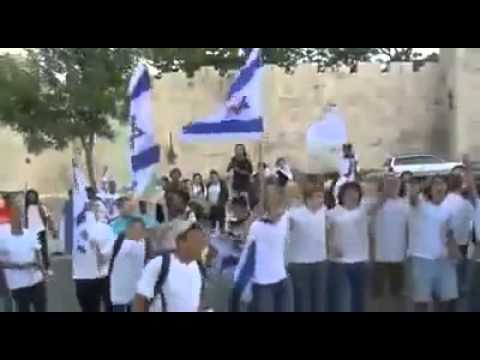 شاب يهودي أميركي يدافع عن فلسطين