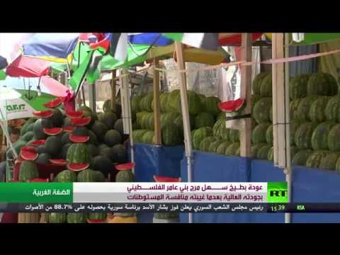 الفلسطينيون ينجحون أخيرًا  في  زراعة البطيخ