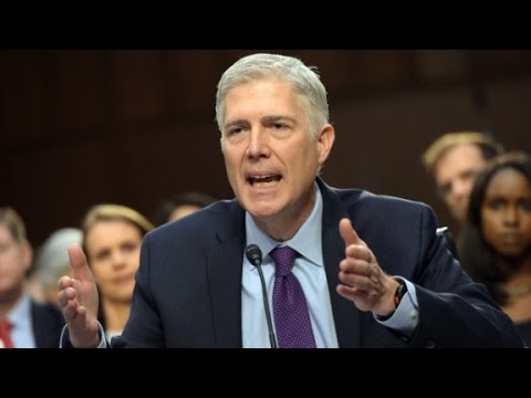 gorsuch grilled on roe