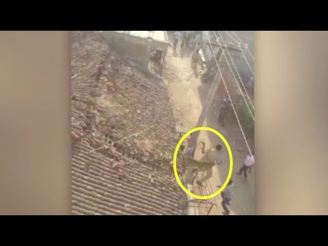 leopard attacks rescue worker