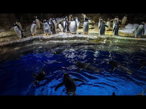 learning about sea life at hong kong’s ocean park