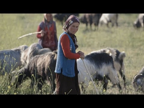 turkeys last anatolian nomads