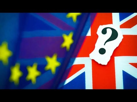 most british businesses have not made brexit plans