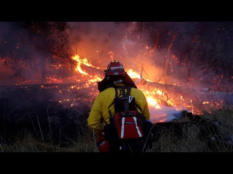 40 dead in california