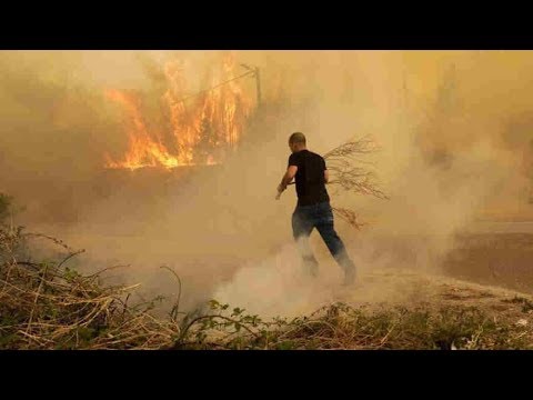 at least 27 dead in wildfires as portugal declares state