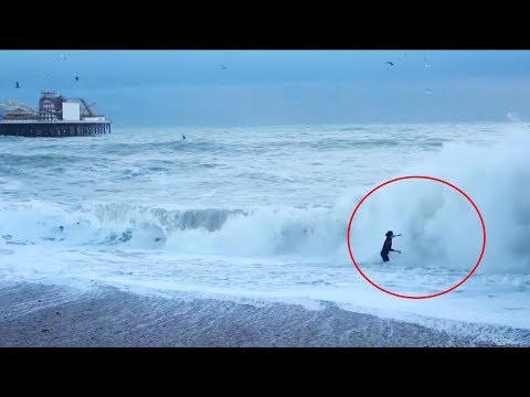 brave woman rescues dog