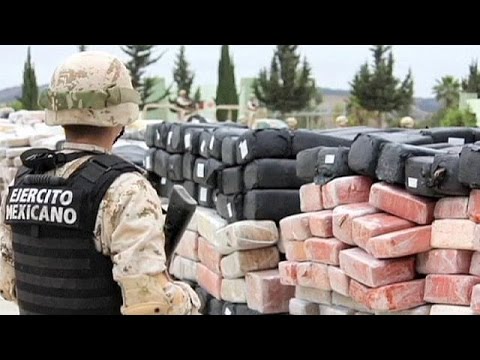 mexico finds 42 ton stash of marijuana