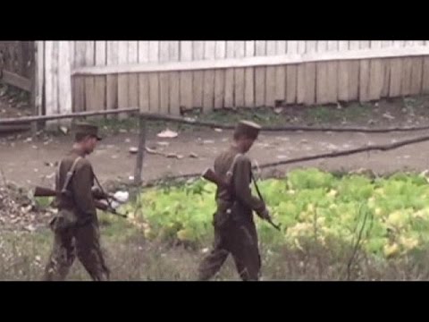 north korean teenage soldier defects to the south