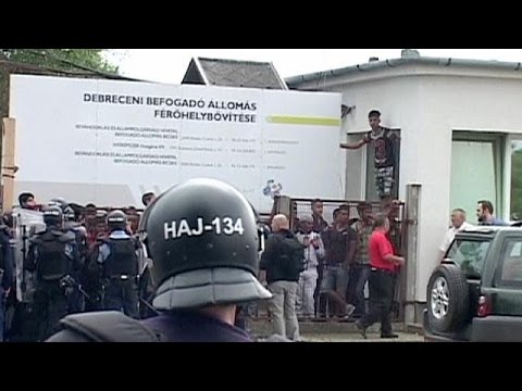 riot breaks out at hungarian migrant camp