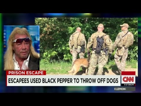 don lemon helped in the hunt for escaped