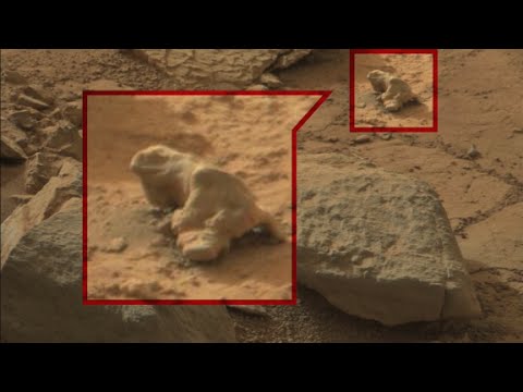 searching for alien life in mars photos