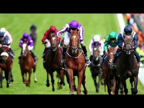 can horse racing take off