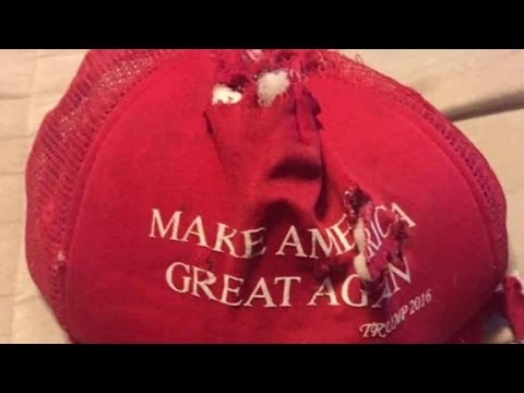 dogs destroy boys beloved trump hat