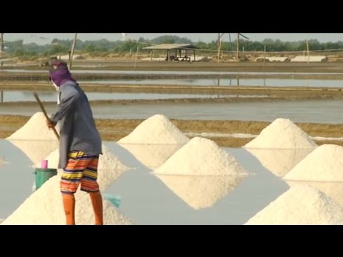 falling salt prices threaten traditional life