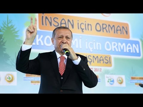 erdogan harming turkish success in europe