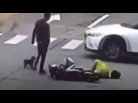 dog chases car that knocked owner to the ground