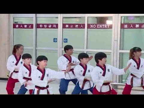 dprk taekwondo delegation visits south korea