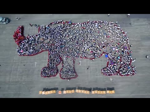 in taiwan with human chain and red stickers