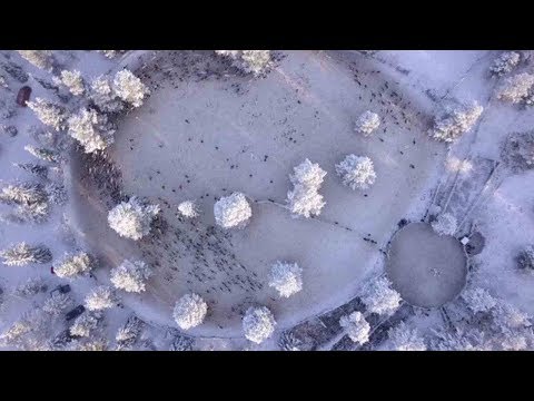 stunning drone video shows traditional reindeer