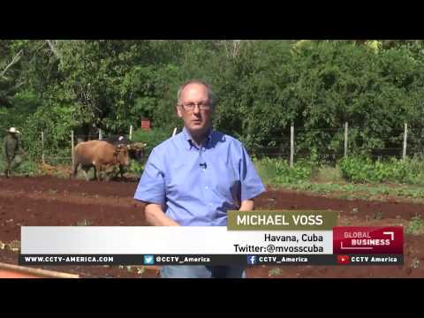 us companies look to export fertilizers to cuba