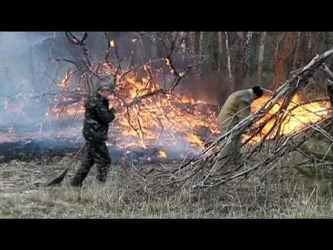 ukraine blaze under control