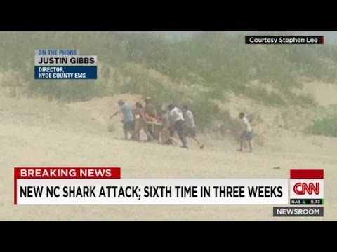 shark attack in north carolina alarms residents