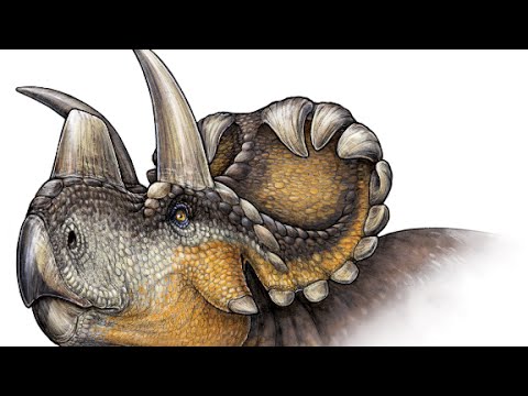 new horned dinosaur species discovered