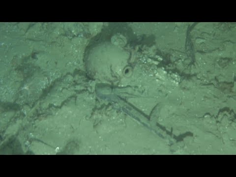 mystery shipwreck discovered off north carolina coast